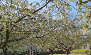 IMG_20220413_122015_793.jpg