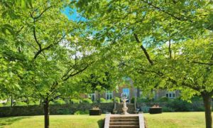 IMG_20220714_083802_787.jpg